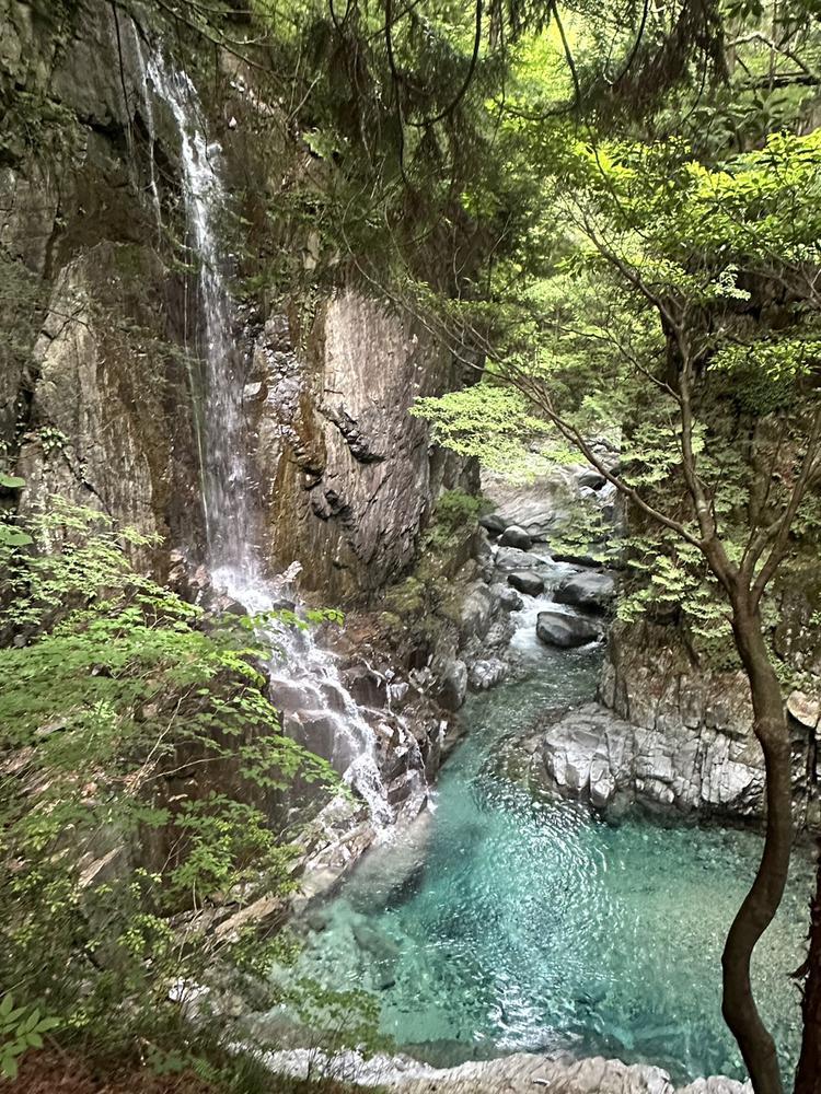 マイナスイオン〜🍃