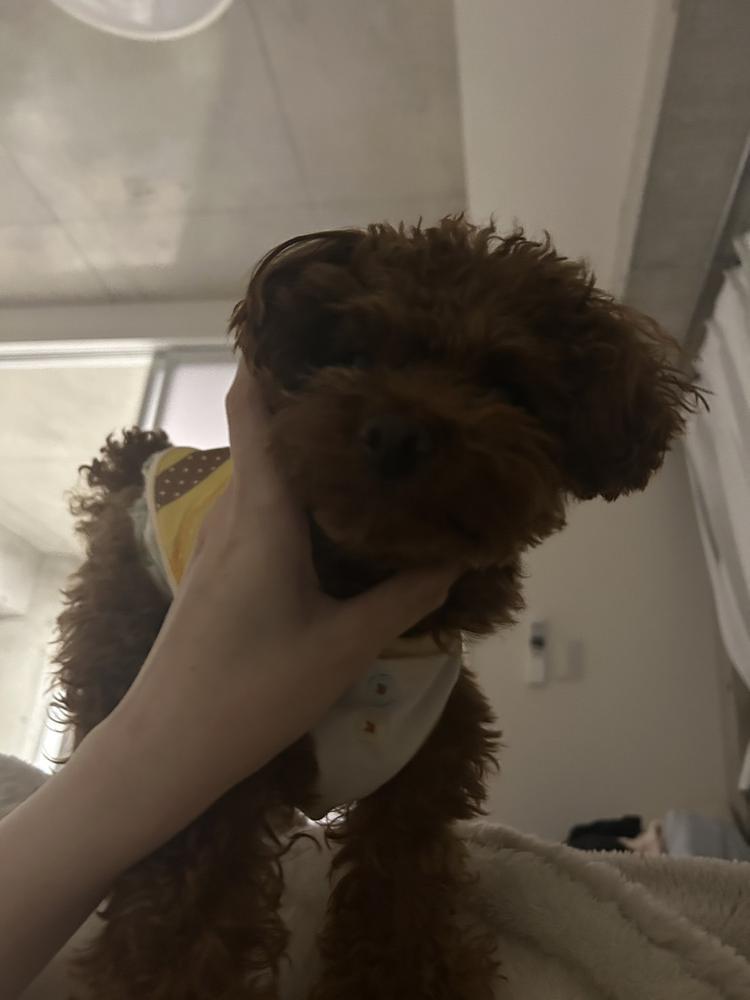 おやすみブログ間に合わなかったよーん