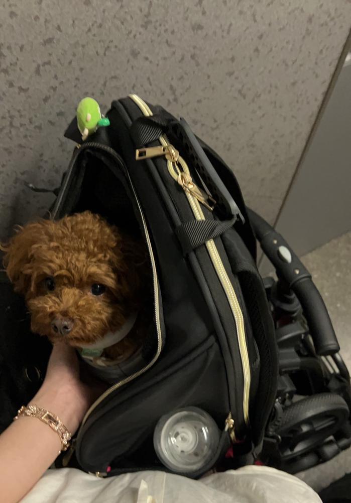 水着が嫌すぎる