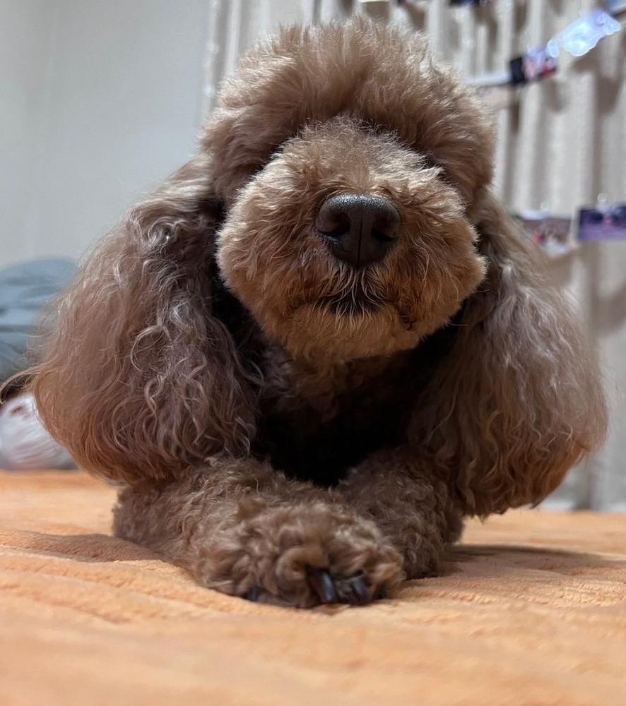 出勤しました🫶