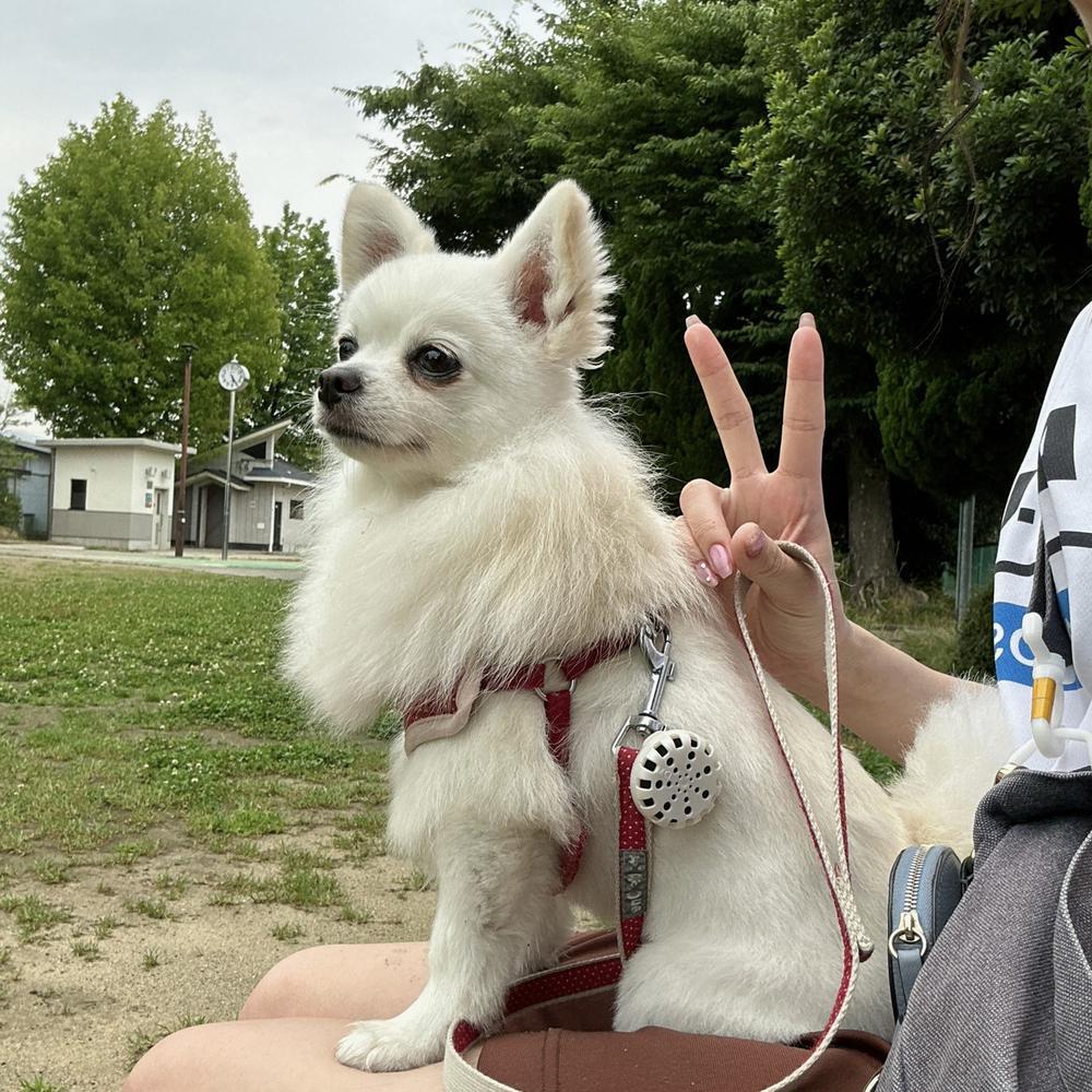 反省反省😵‍💫