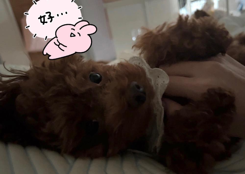 次のネイルは何にしよかな