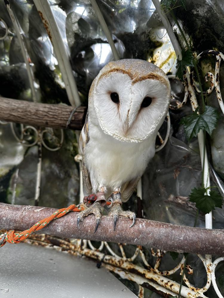 出勤しました🫶