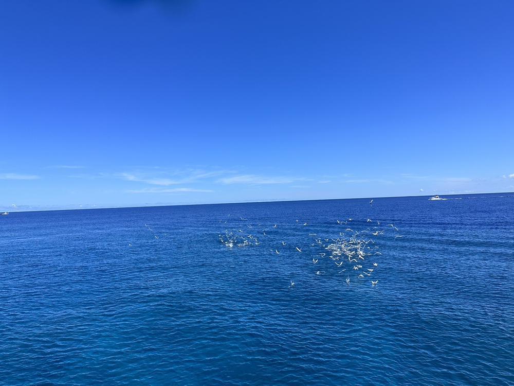 出勤しました🫶