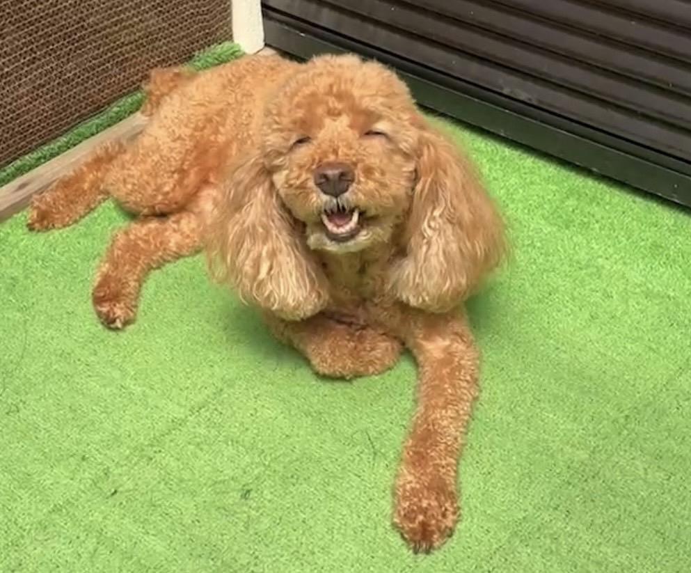 出勤しました🫶