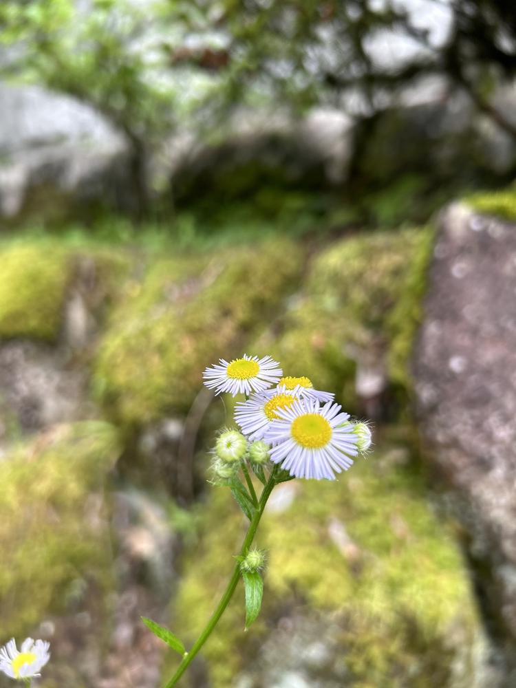 出勤してます🏝️❤️