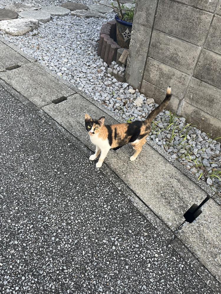 今日も元気よくしゅっっっ