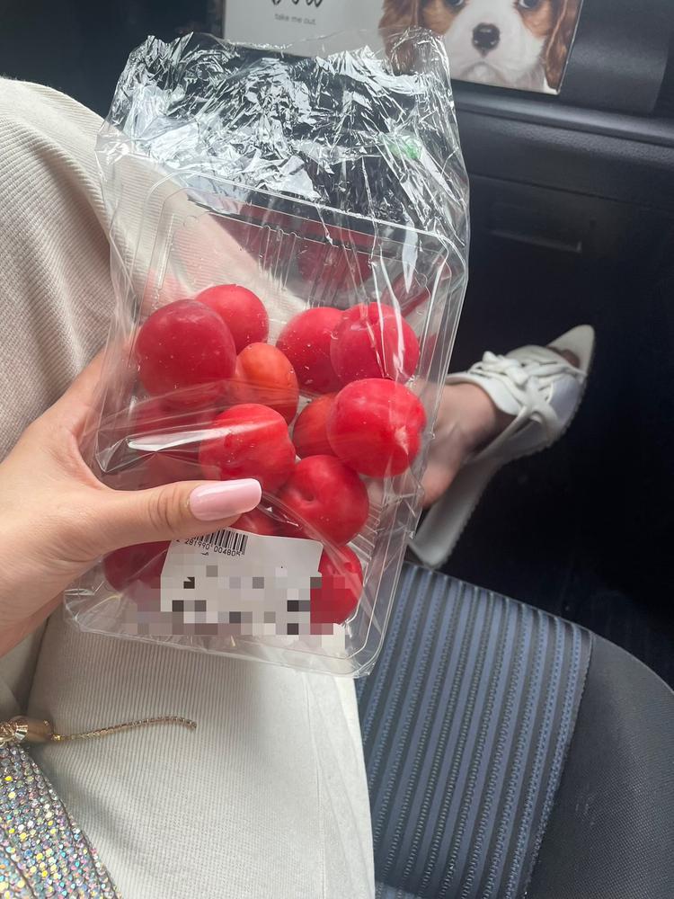 移動中はもぐもぐしてたい