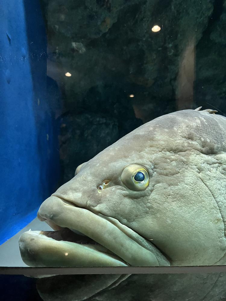 すぐ冷める🫠🫠