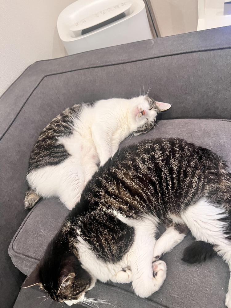 朝見た衝撃の◯◯とは？