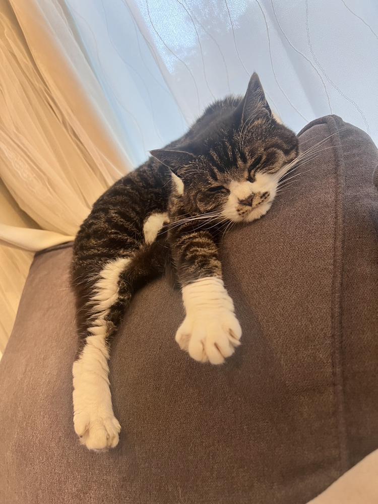 何で返事くれないの？の答え