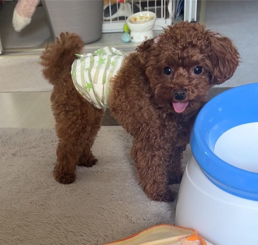 間に合ったかもー！🥹