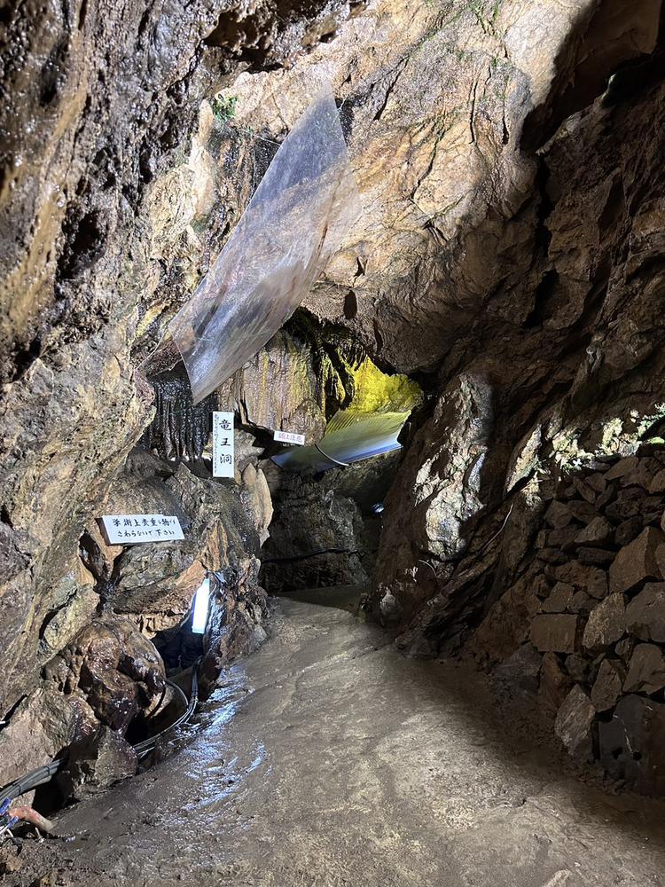 大滝鍾乳洞⛰️🌿