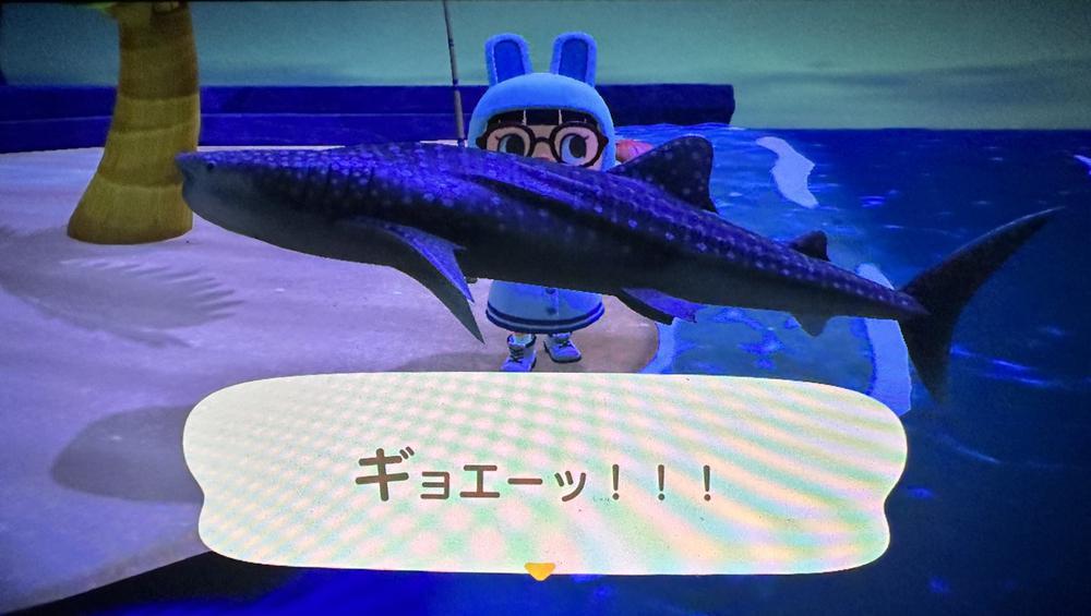 出勤しました🫶