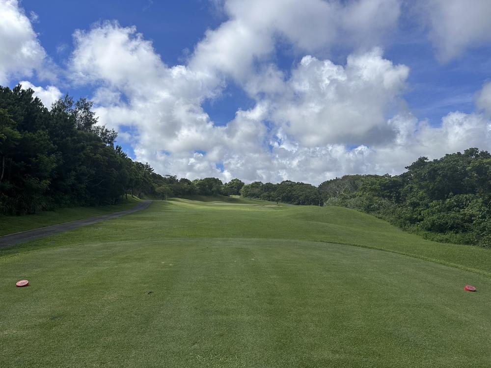 出勤しました🫶