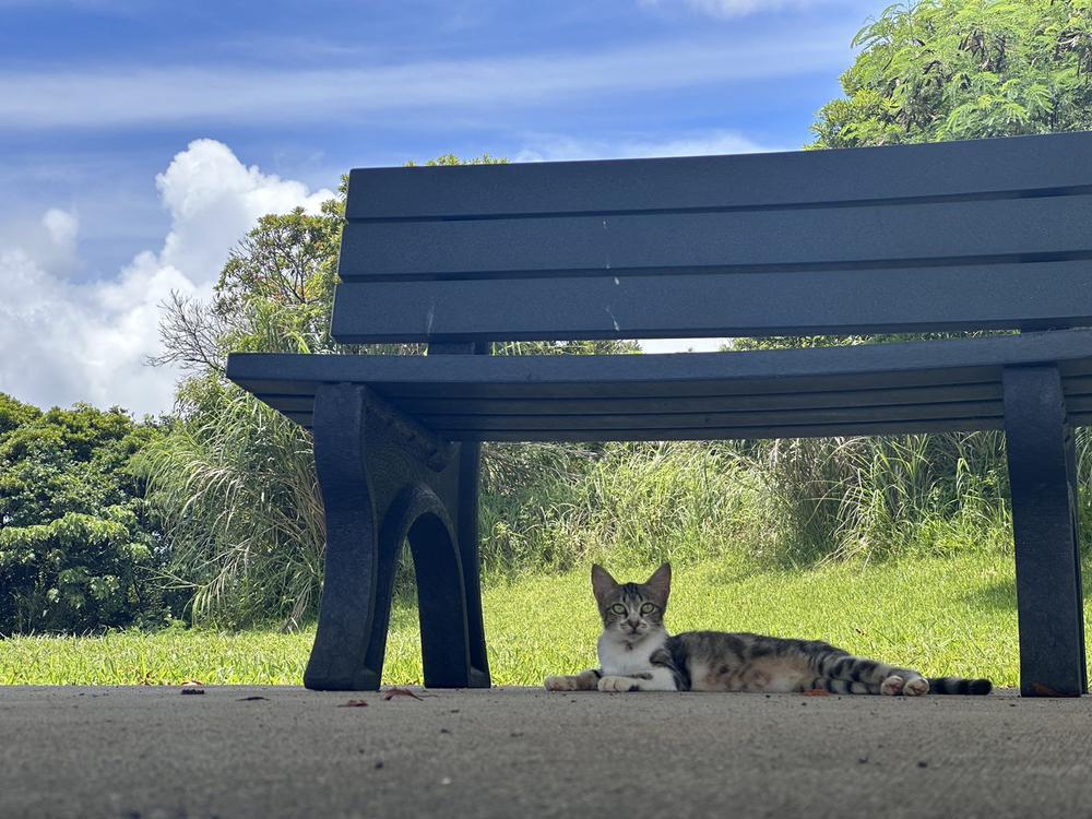 出勤しました🫶