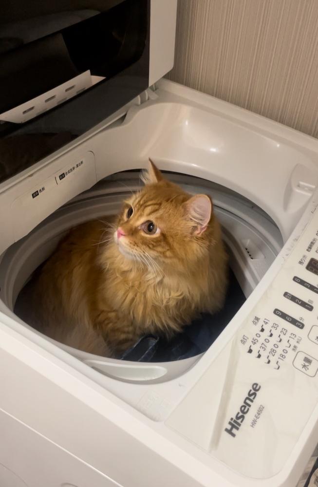 出勤してます🩵