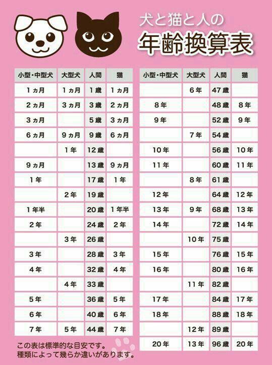 うちこいつと同い年