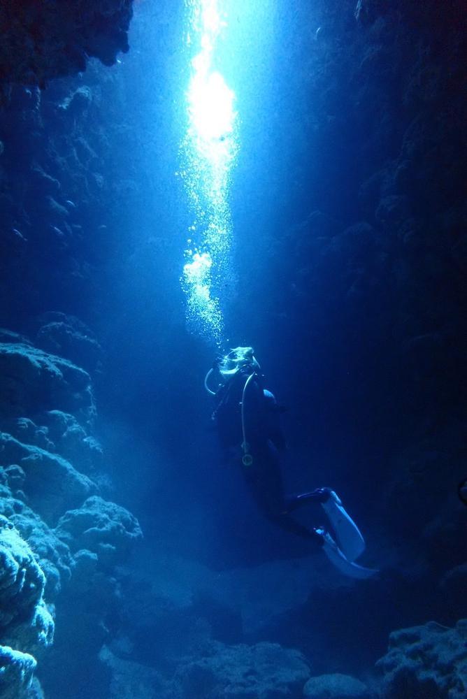 お久しぶりの、😂