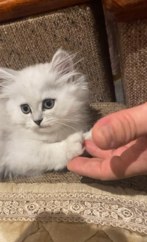 行きつけの場所に天使降臨🪽🤍