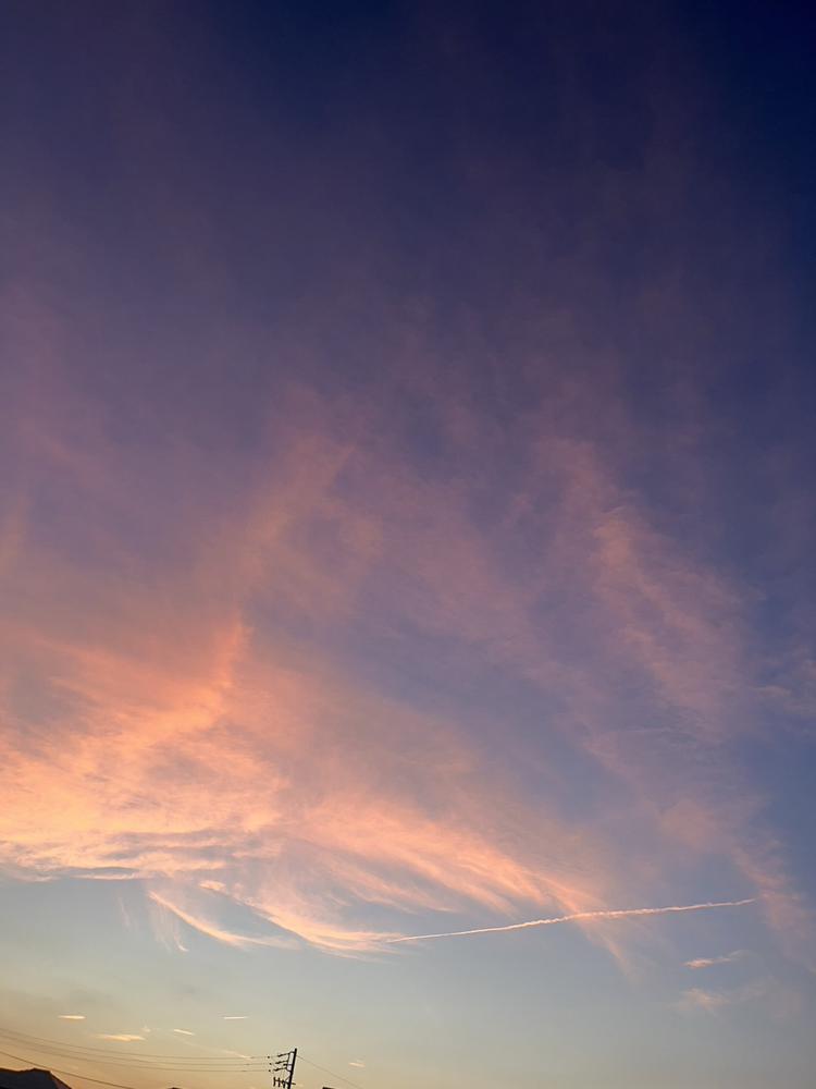ゆりあしゅきん🍑