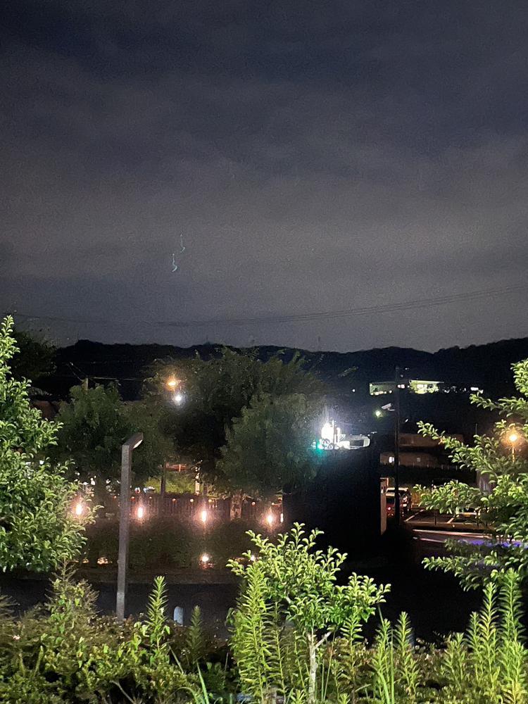 ゆりあしゅきん🍑