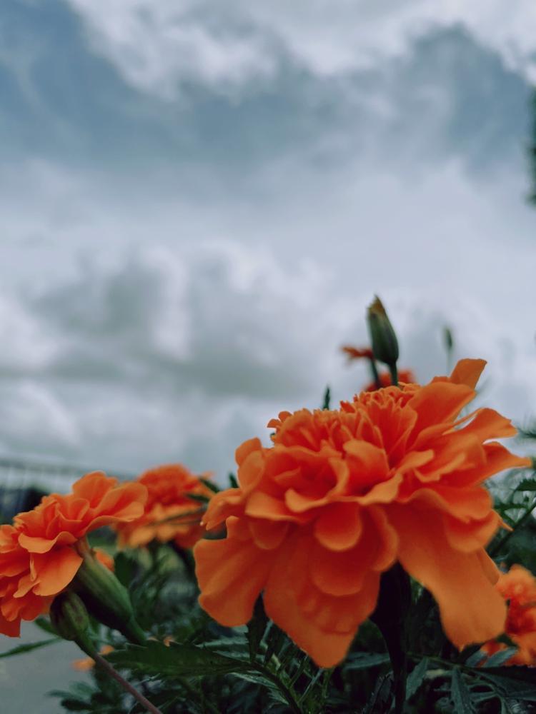 歯医者行った🦷