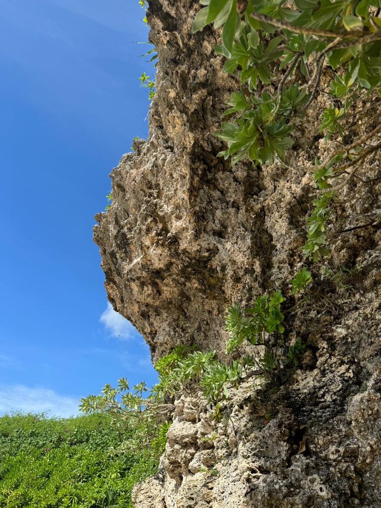 早く晴れないかなぁ🥺