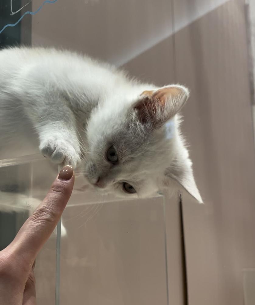 出勤してます( ̳- ·̫ - ̳ˆ)੭