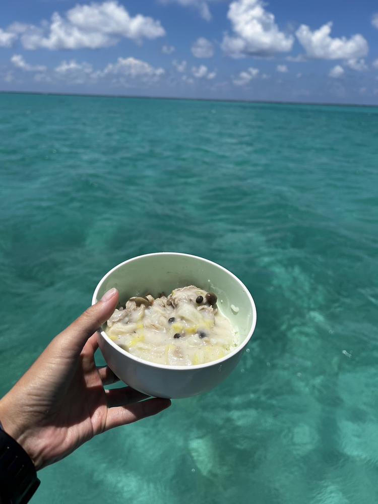 宮古島は今日も海が綺麗です🪼