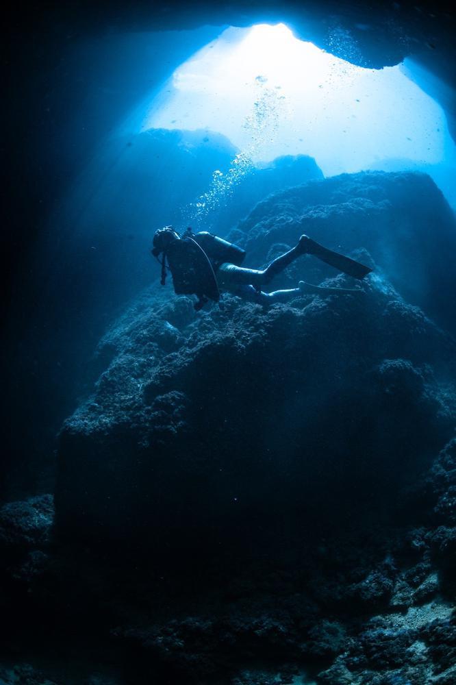 今日は朝から…