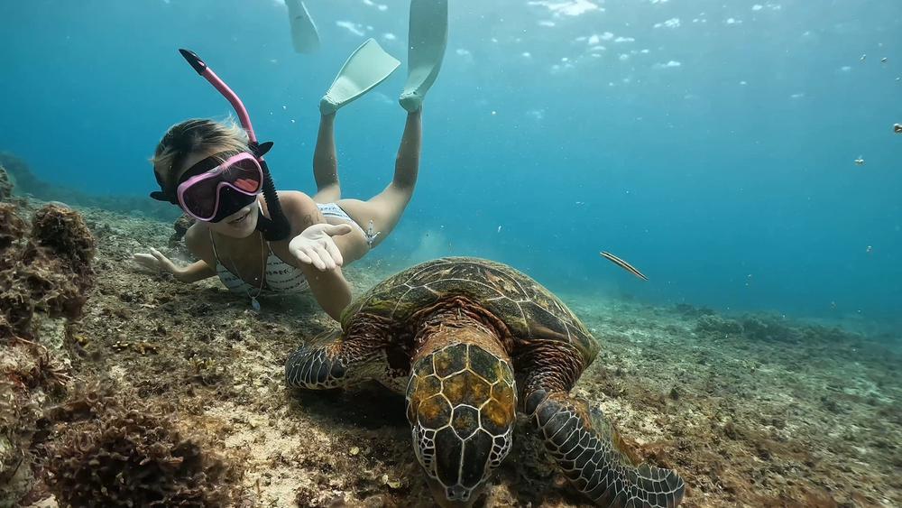 今日は朝から仕事でファーストワンはお休みです🐶