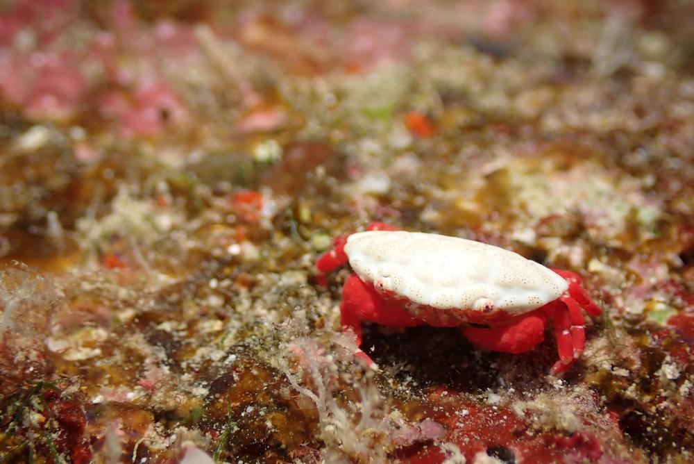 お店メンバーと海〜