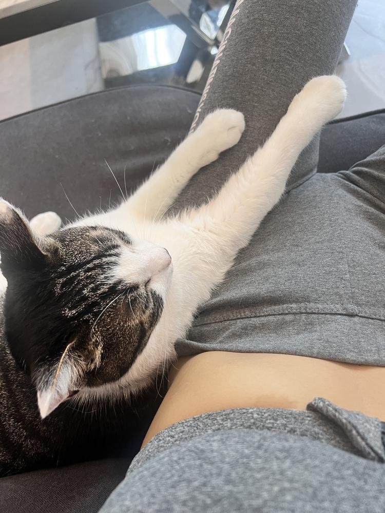 仕事に行きたく無い日に読む話