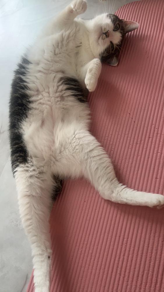 愛しの◯◯さんへ