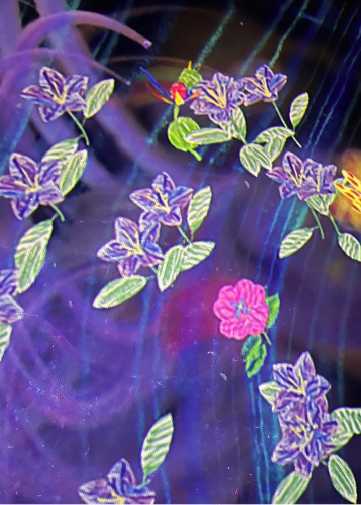 キラキラ〜❀.(*´▽`*)❀.︎💕︎💕