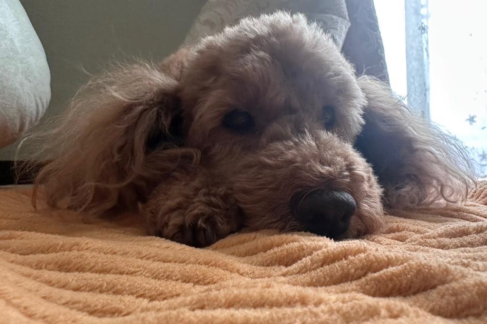 出勤しました🫶