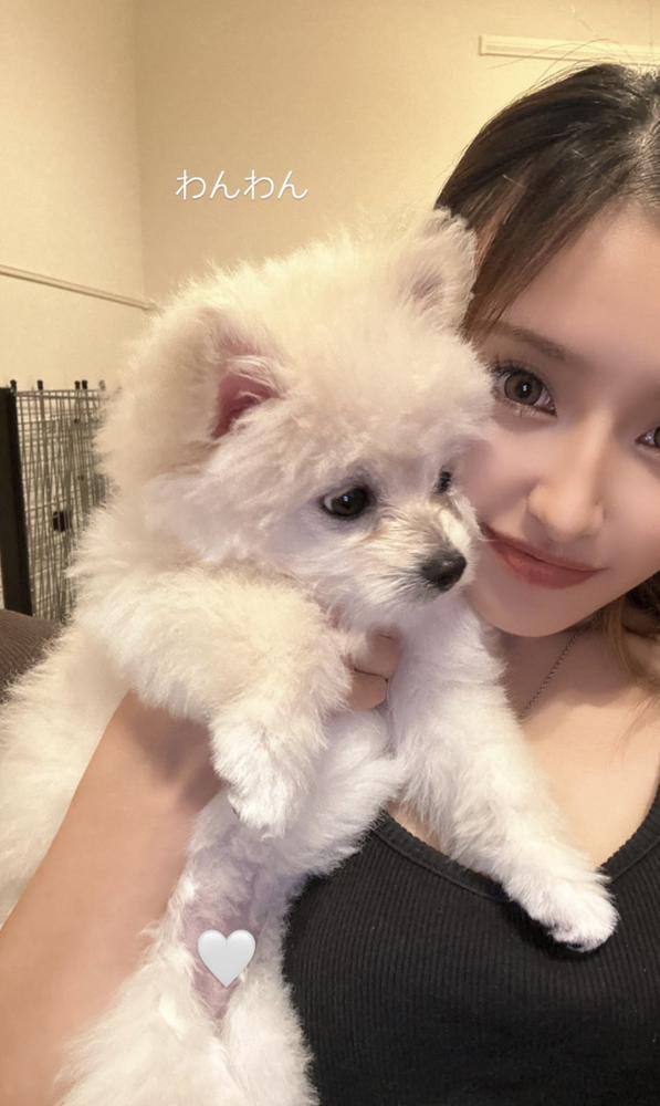 9月もよろしくお願いします🙏