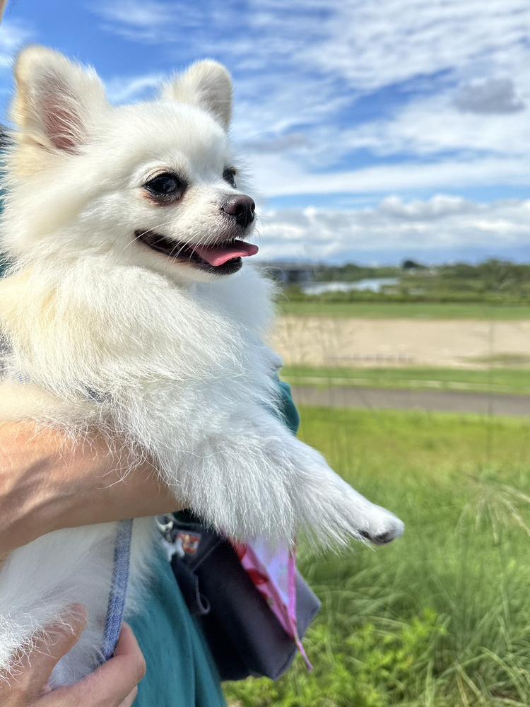 グランピング🏕