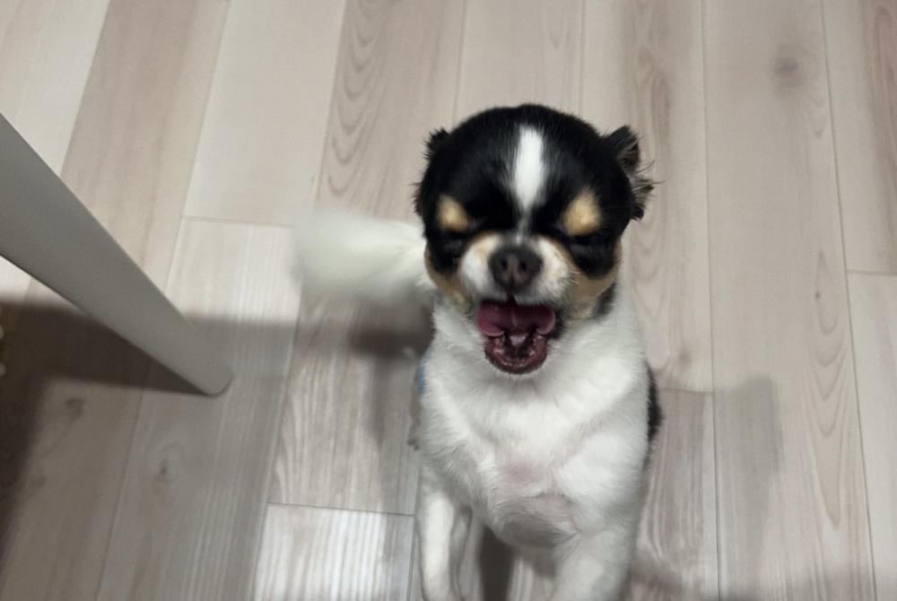 8月ありがとうございました✨️