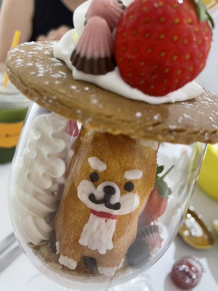 今週もいます🍨