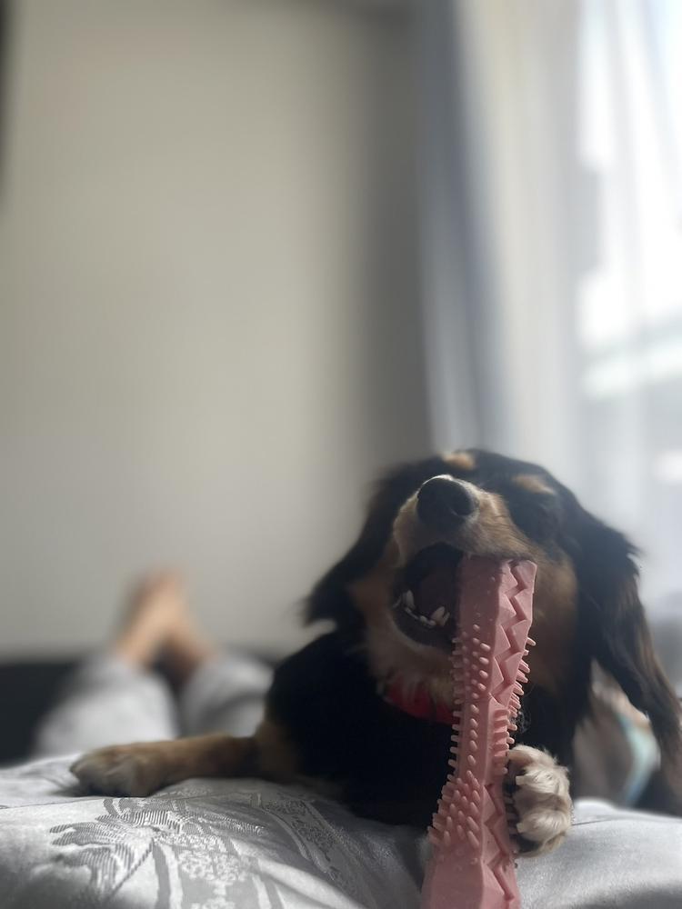 トラブルメーカー