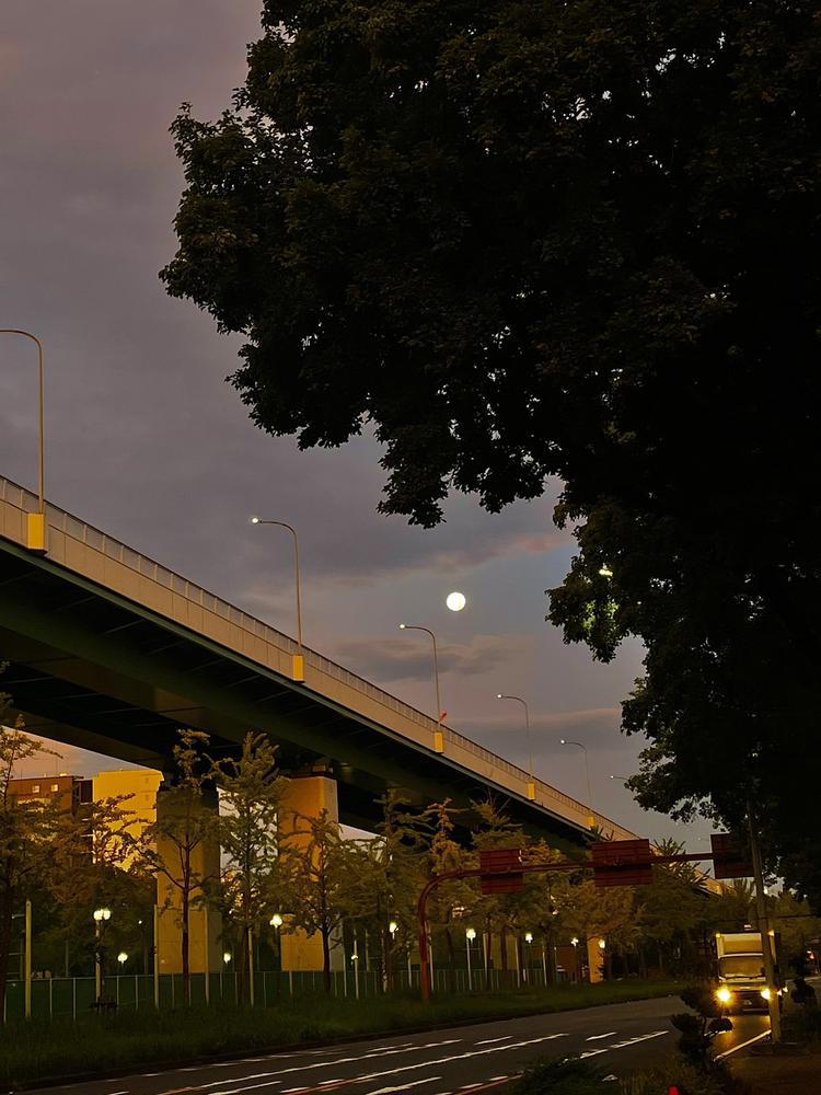 しょげからのあげ