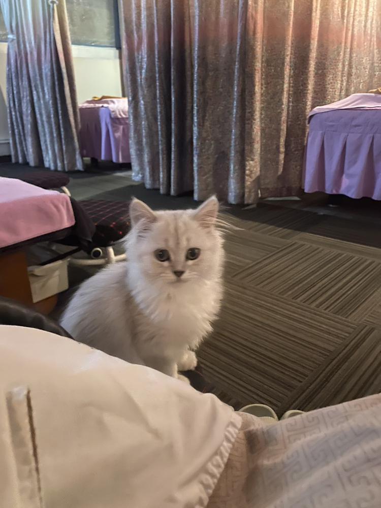 日常生活うるおいますね