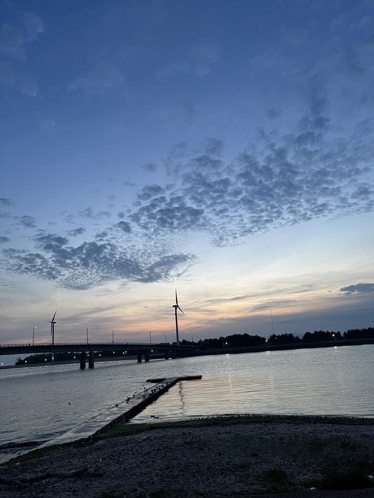 ゆりあしゅちん