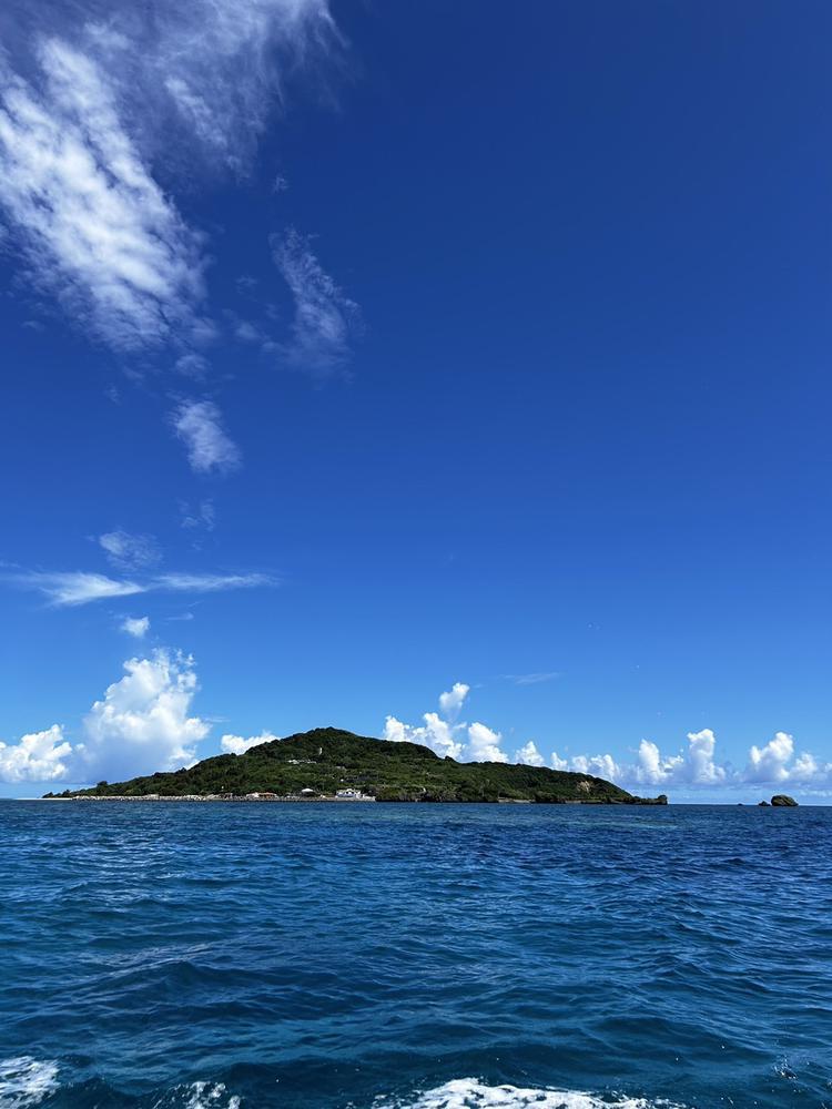 降ったり止んだり☔️