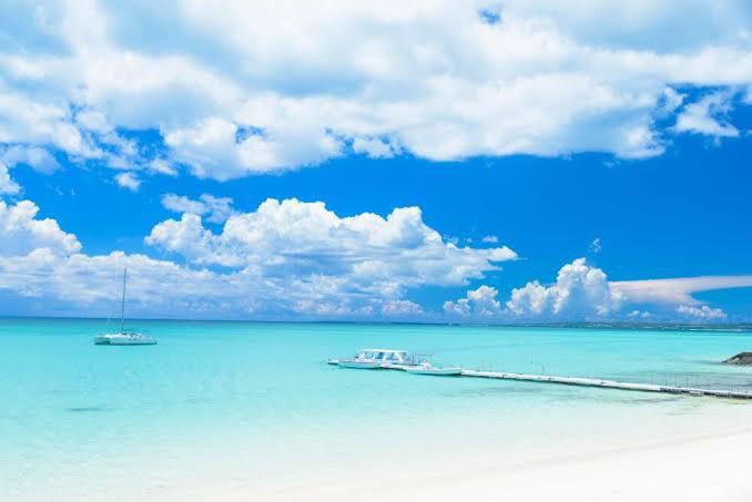 泳ぎたいーーー🥺