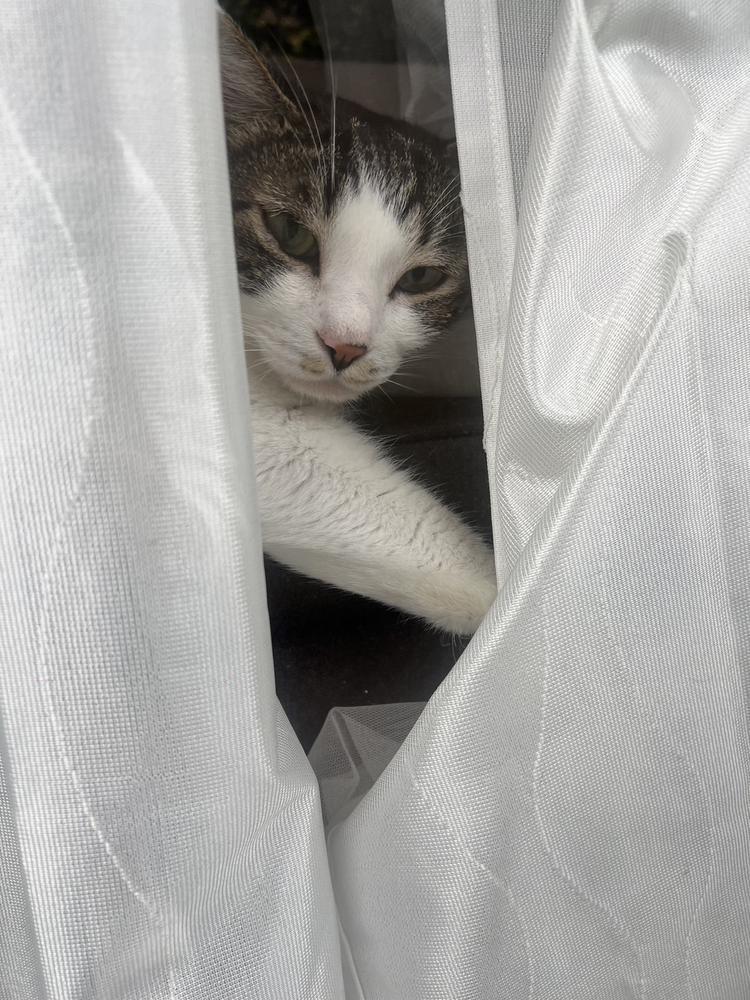 今日はお休みです