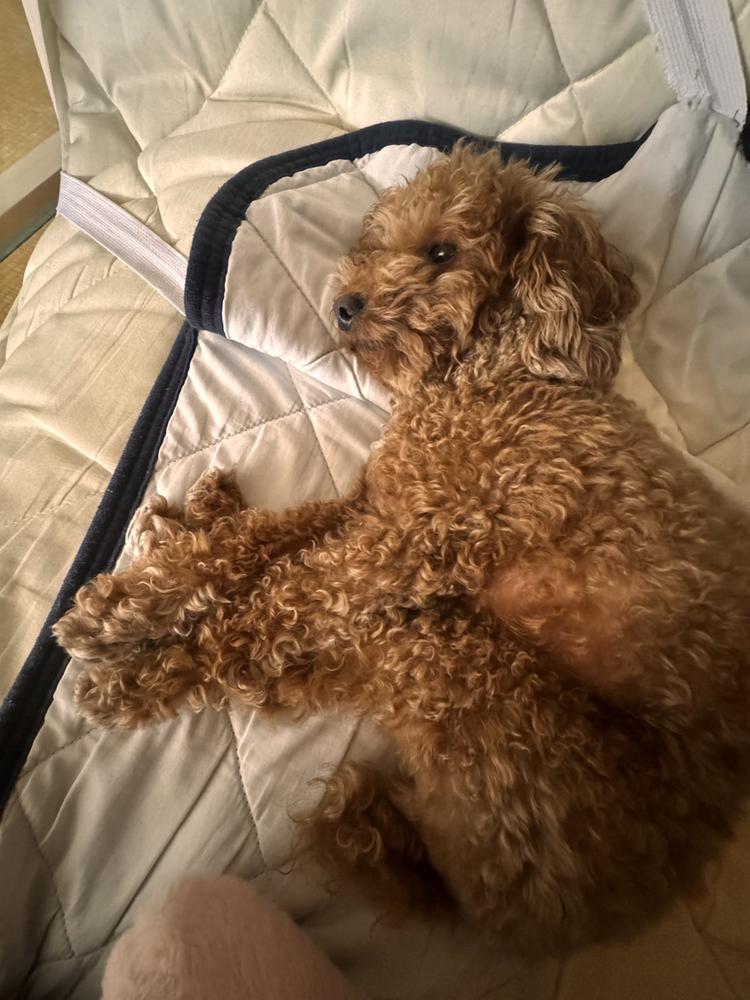 おはようございます〜！！！🐰