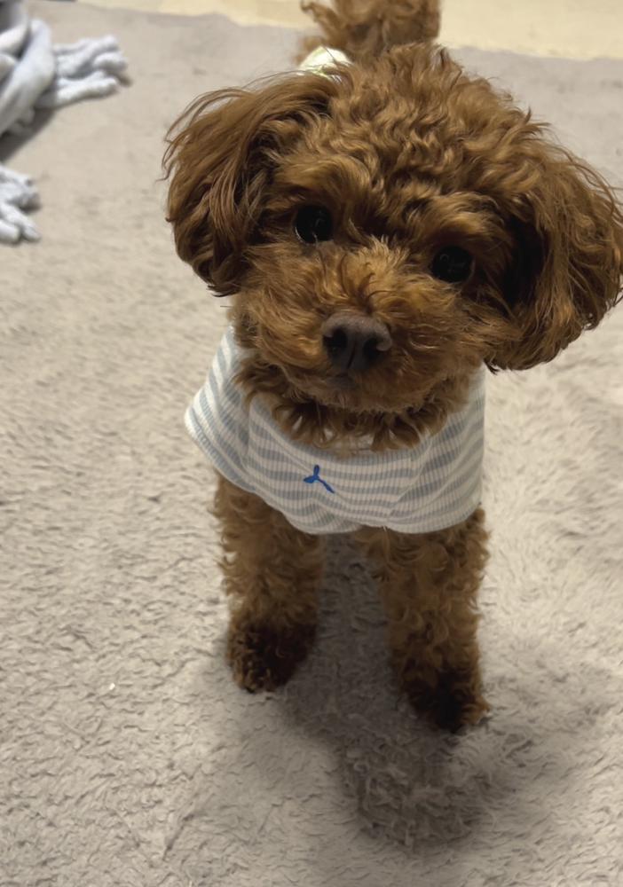 お休みもらったよー